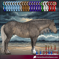 Horse Color:Silver Black Mushroom Sabino  and Silver Smoky Black Mushroom Sabino 