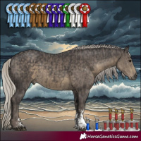 Horse Color:Silver Black Mushroom Sabino and Silver Smoky Black Mushroom Sabino