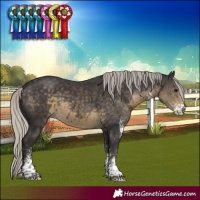 Horse Color:White Spotted Silver Smoky Black Mushroom