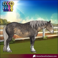 Horse Color:White Spotted Silver Smoky Black Mushroom 