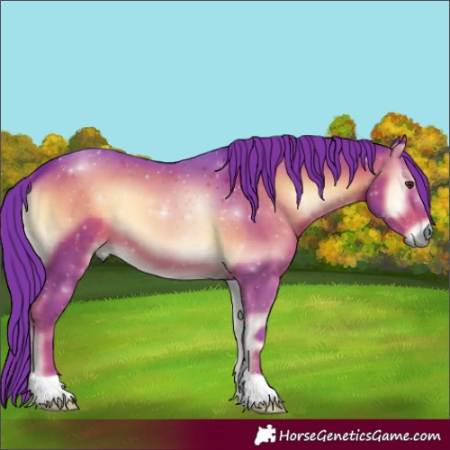 Horse Color:Watercolor Liver Red Onyx 