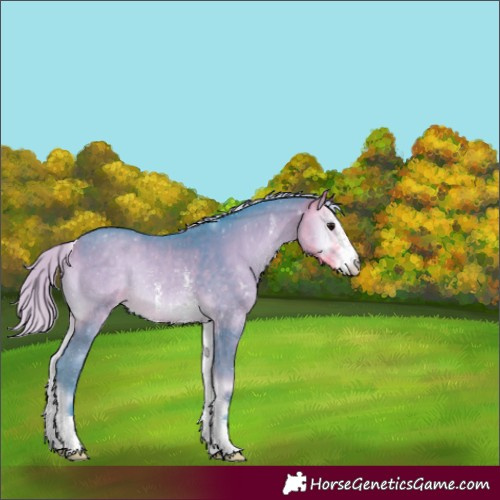 Horse Color:Watercolor Silver Buckskin Onyx Sabino 