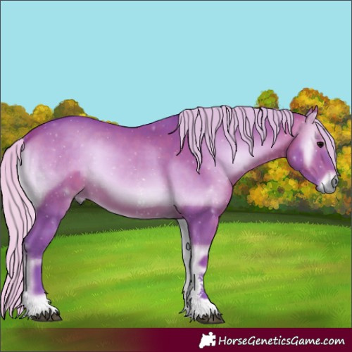 Horse Color:Watercolor Silver Brown Onyx Sabino 