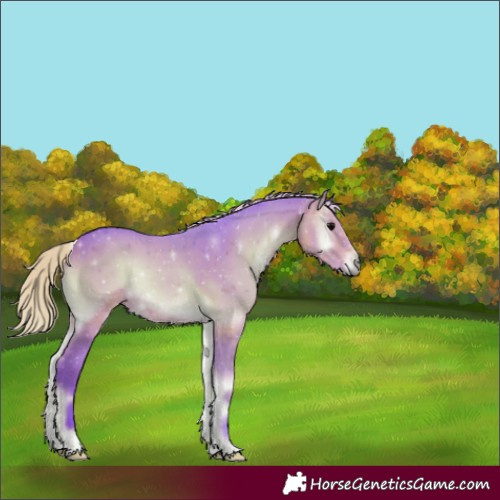 Horse Color:Watercolor Silver Brown Onyx 