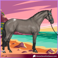 Horse Color:Grullo Varnish