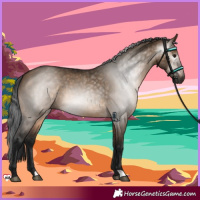 Horse Color:Gray Brown Dun 