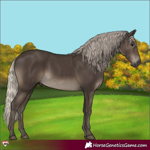 Horse Color:Gray Silver Black 