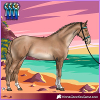 Horse Color:Liver Chestnut Pearl Sabino Tobiano 