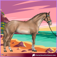 Horse Color:Liver Chestnut Pearl Sabino Tobiano 