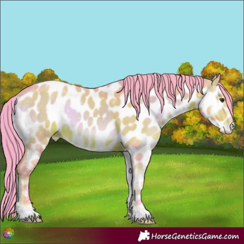 Horse Color:Watercolor Liver Red Onyx Appaloosa 