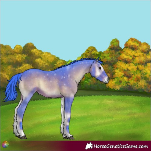 Horse Color:Watercolor Liver Red Onyx 