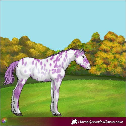 Horse Color:Watercolor Liver Red Onyx Near Leopard 