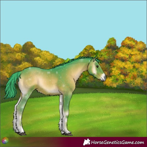 Horse Color:Watercolor Liver Red Onyx 