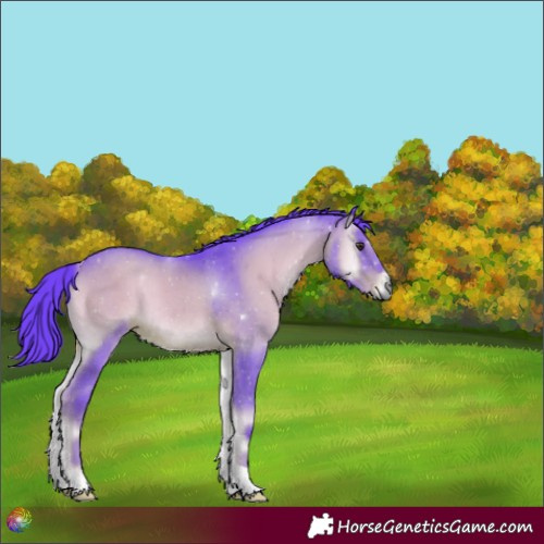 Horse Color:Watercolor Liver Red Onyx 