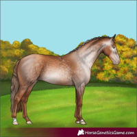 Horse Color:Gray Gold Champagne 