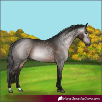 Horse Color:Gray Brown 