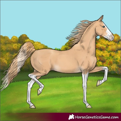Horse Color:Gold Champagne Splash 