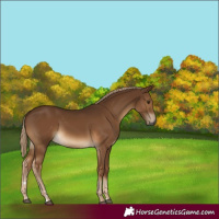 Horse Color:Gray Chocolate Palomino 