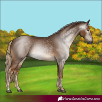 Horse Color:Gray Chocolate Palomino