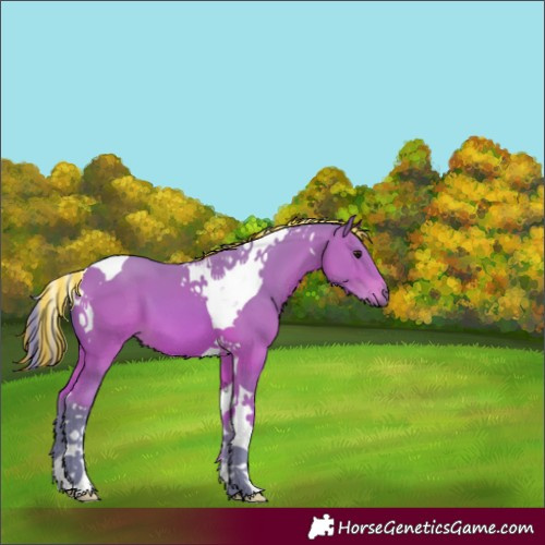 Horse Color:Painted Watercolor Bay Tobiano 
