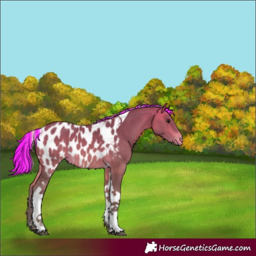 Horse Color:Painted Silver Buckskin Tobiano Near Leopard 