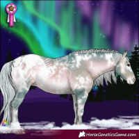Horse Color:Watercolor White Spotted Silver Brown Onyx Appaloosa 