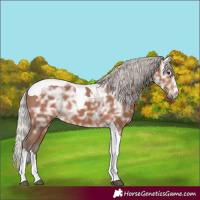 Horse Color:Silver Brown Ice Tobiano
