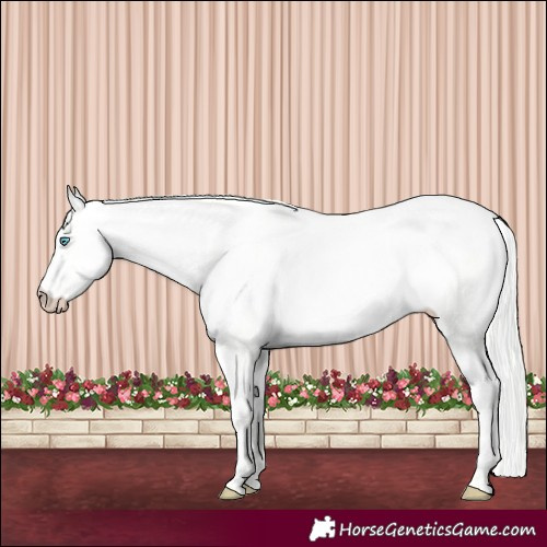 Horse Color:Cremello Dun