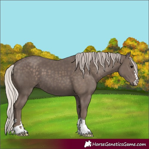 Horse Color:Silver Black 