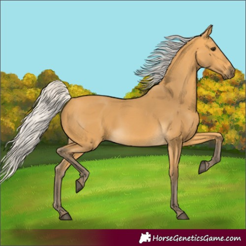 Horse Color:Silver Buckskin 