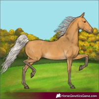 Horse Color:Silver Buckskin 