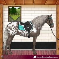 Horse Color:Silver Black Near Leopard 
