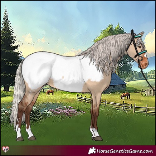 Horse Color:Silver Brown Dun Near Fewspot