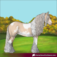 Horse Color:Silver Bay Dun Sabino Tobiano Frame Rabicano 