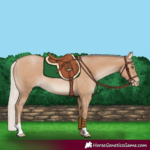 Horse Color:Silver Black Pearl 