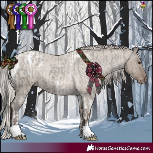 Horse Color:Grullo Tobiano Varnish Rabicano  and Silver Grullo Roan Varnish Rabicano 