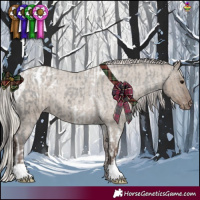 Horse Color:Grullo Tobiano Appaloosa Rabicano and Silver Grullo Roan Appaloosa Rabicano