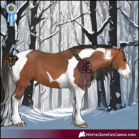 Horse Color:Bay Sabino Tobiano