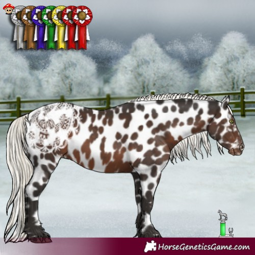 Horse Color:Liver Chestnut Mushroom Leopard 