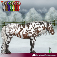 Horse Color:Liver Chestnut Mushroom Leopard 