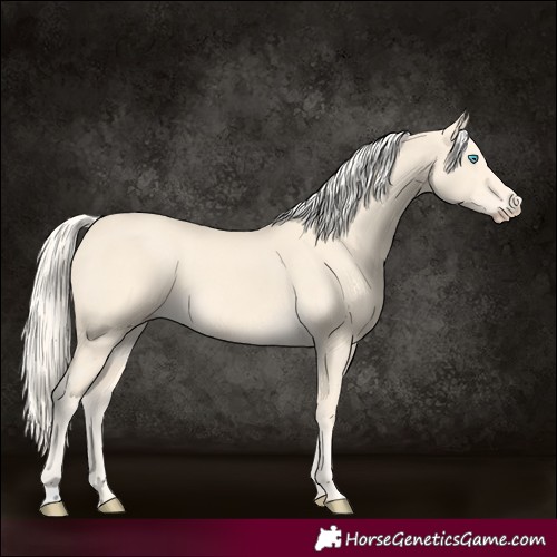 Horse Color:Cremello 