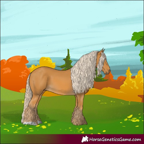 Horse Color:Palomino
