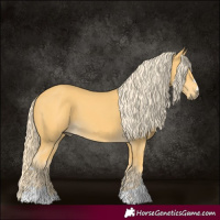 Horse Color:Palomino 
