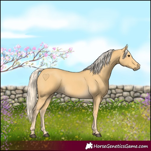 Horse Color:Palomino 