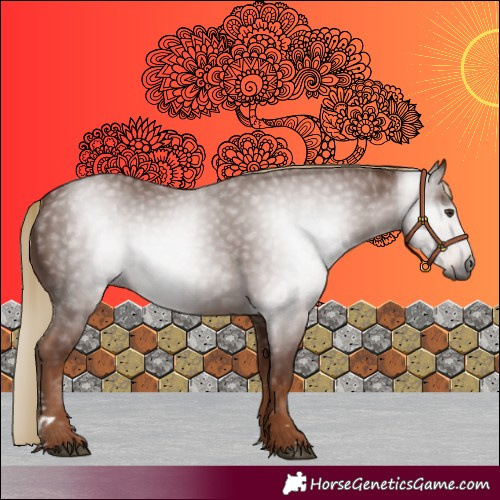 Horse Color:Gray Chestnut 