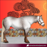 Horse Color:Gray Chestnut 