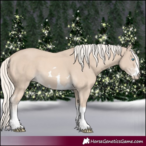 Horse Color:Cremello 
