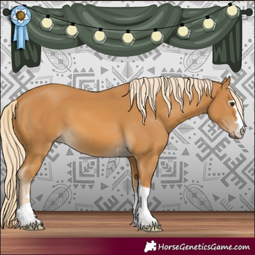Horse Color:Palomino 