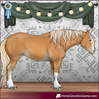 Horse Color:Palomino 