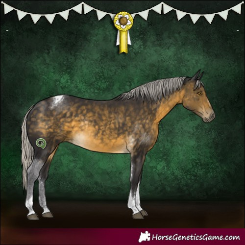 Horse Color:Silver Buckskin Tobiano Rabicano